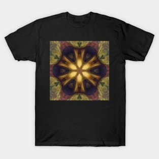 Mandalisa Kaleidoscope [textures] Pattern (Seamless) 12 T-Shirt